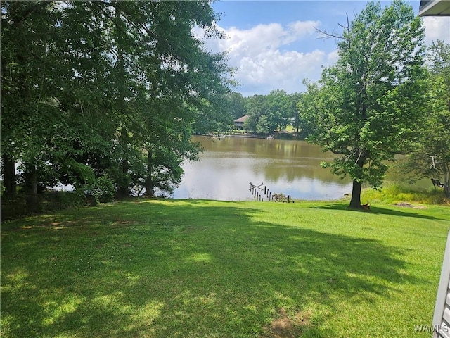 13114 Lake Arnedra Rd, Coker, AL 35452 - photo 5