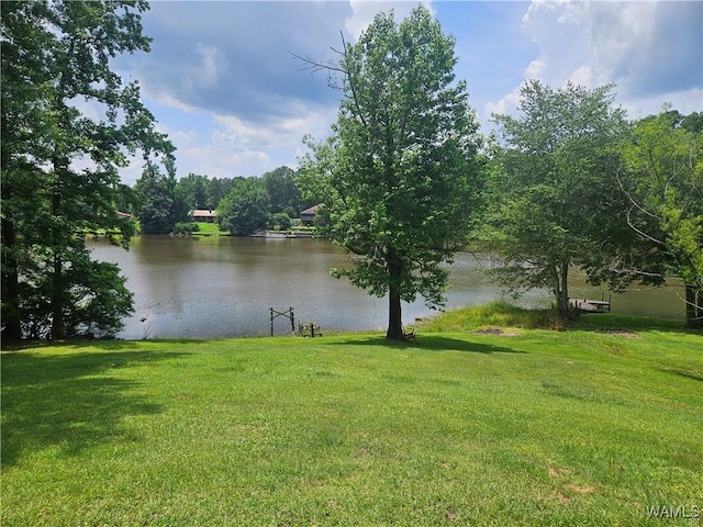 13114 Lake Arnedra Rd, Coker, AL 35452 - photo 18
