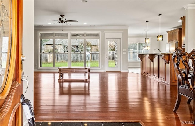 interior space featuring dark hardwood / wood-style floors, ceiling fan, ornamental molding, and sink