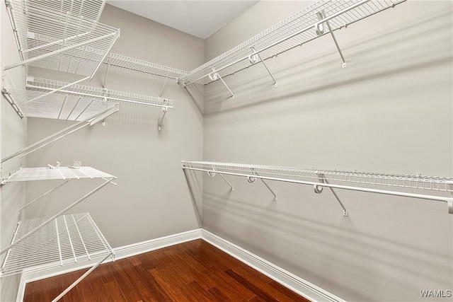 walk in closet featuring wood-type flooring