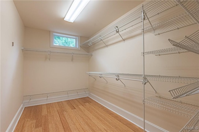 890 Founders St, Tuscaloosa, AL 35406 - spacious closet featuring light wood-style floors