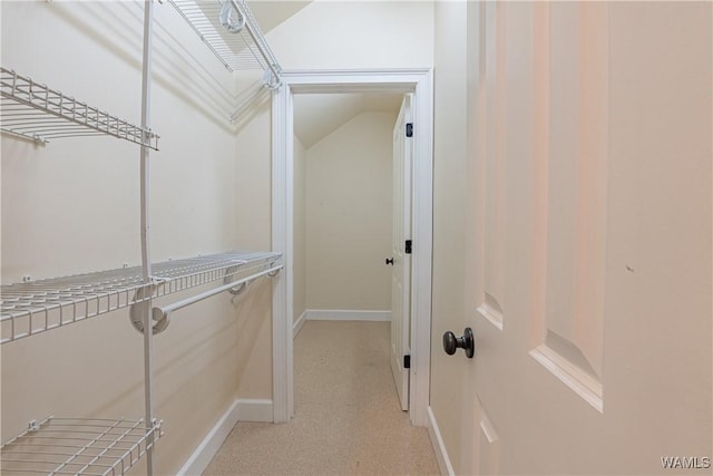 890 Founders St, Tuscaloosa, AL 35406 - view of walk in closet