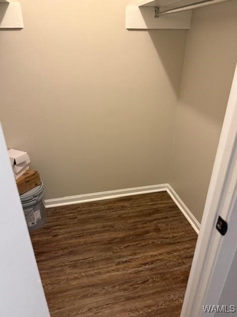 1813 Hackberry Ln Unit 10, Tuscaloosa, AL 35401 - spacious closet with dark wood finished floors