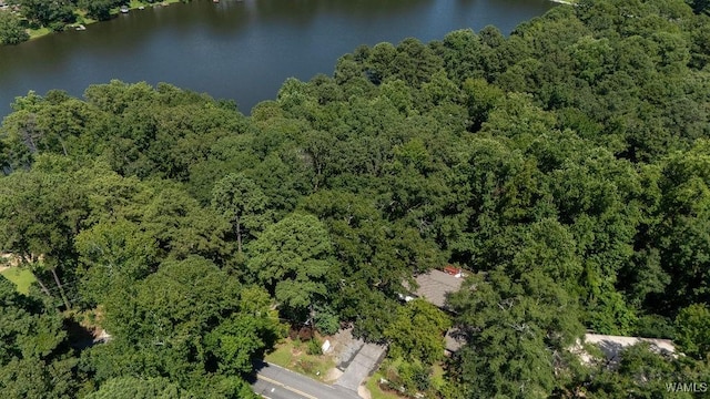 4305 Northwood Lake Dr W, Northport, AL 35473 - photo 41