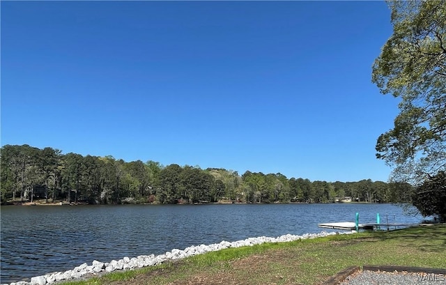 4305 Northwood Lake Dr W, Northport, AL 35473 - photo 47