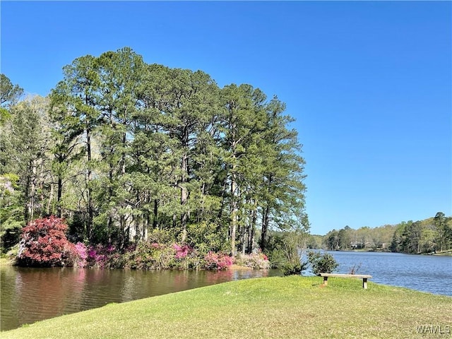 4305 Northwood Lake Dr W, Northport, AL 35473 - photo 48