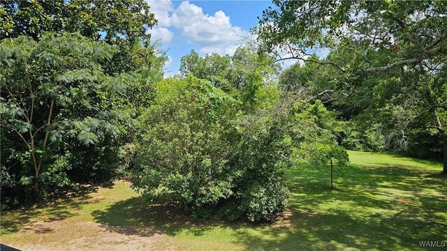 505 W Greene St, Marion, AL 36756 - photo 25