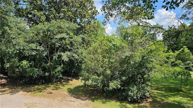 505 W Greene St, Marion, AL 36756 - photo 22