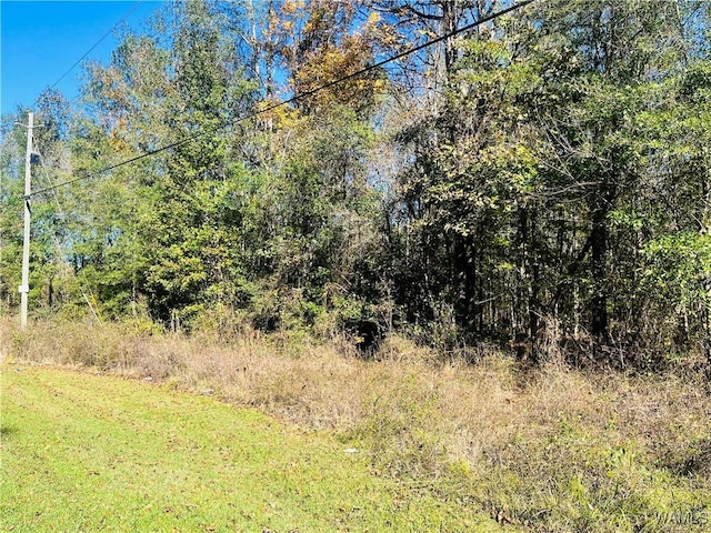 0 Jennings Ferry Rd, Akron, AL 35441 - photo 2
