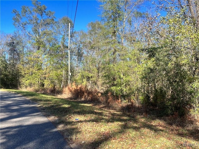 0 Jennings Ferry Rd, Akron AL, 35441 land for sale