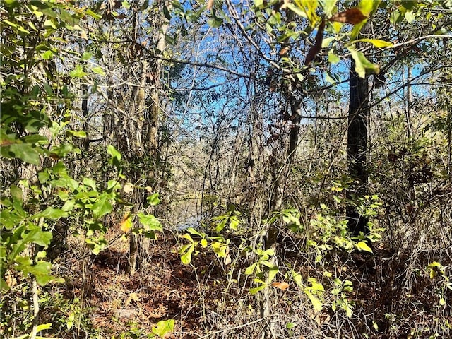 0 Jennings Ferry Rd, Akron, AL 35441 - photo 4