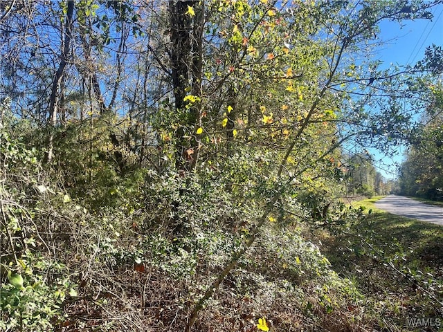 0 Jennings Ferry Rd, Akron, AL 35441 - photo 3