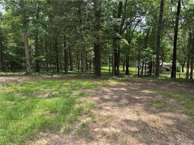 4810 Cumberland Rd, Tuscaloosa, AL 35404 - photo 17