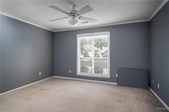 6342 Cashmere Pl, Tuscaloosa, AL 35405 - photo 17