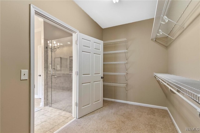 spacious closet with light carpet