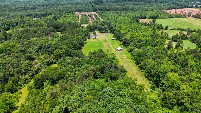 6912 Salem Rd, Gordo, AL 35466 - photo 15