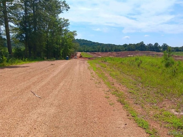 7197 Salem Rd, Gordo, AL 35466 - photo 4