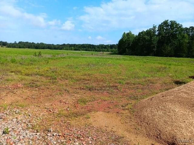 7197 Salem Rd, Gordo, AL 35466 - photo 5
