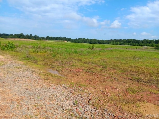 7197 Salem Rd, Gordo, AL 35466 - photo 6