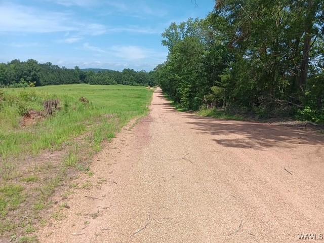 7197 Salem Rd, Gordo, AL 35466 - photo 8
