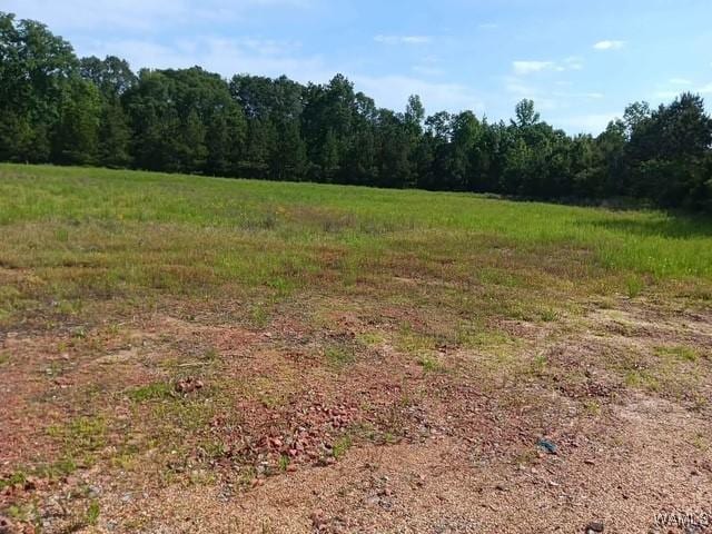 7197 Salem Rd, Gordo, AL 35466 - photo 7