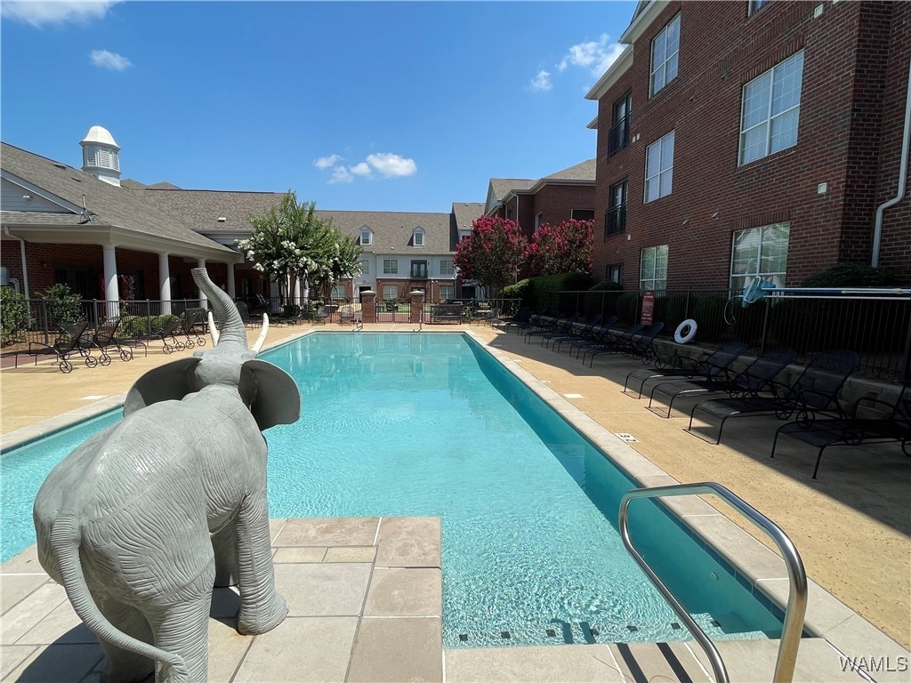 view of swimming pool with a patio area