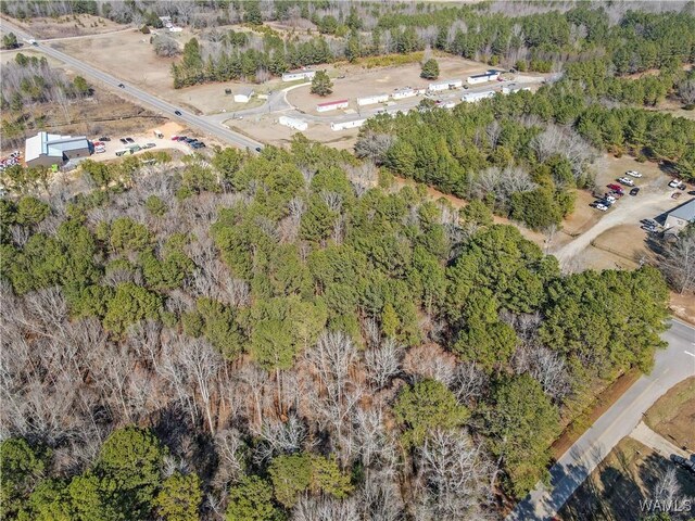 0 Brady Montgomery Rd, Northport, AL 35475 - photo 14