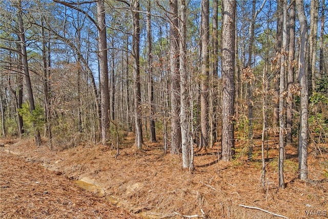 0 Brady Montgomery Rd, Northport, AL 35475 - photo 11