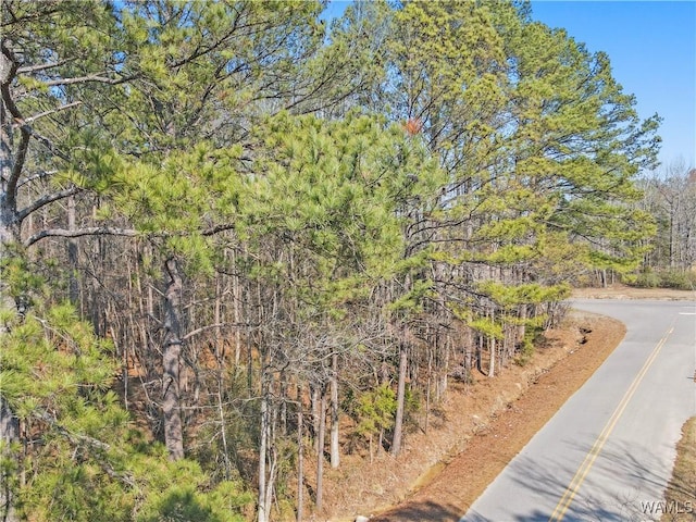0 Brady Montgomery Rd, Northport, AL 35475 - photo 12