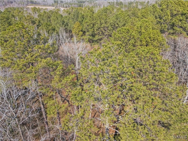 0 Brady Montgomery Rd, Northport, AL 35475 - photo 13