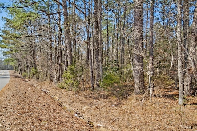 0 Brady Montgomery Rd, Northport, AL 35475 - photo 7