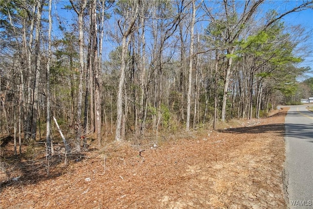 0 Brady Montgomery Rd, Northport, AL 35475 - photo 1