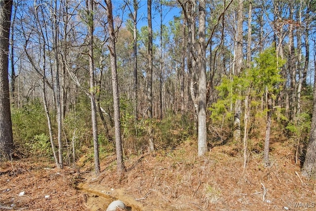 0 Brady Montgomery Rd, Northport, AL 35475 - photo 6