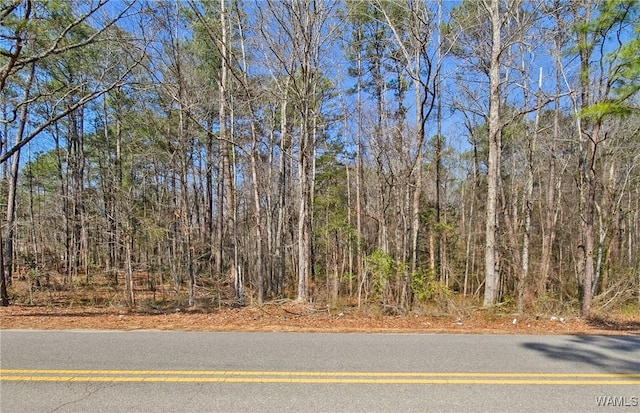 0 Brady Montgomery Rd, Northport, AL 35475 - photo 2