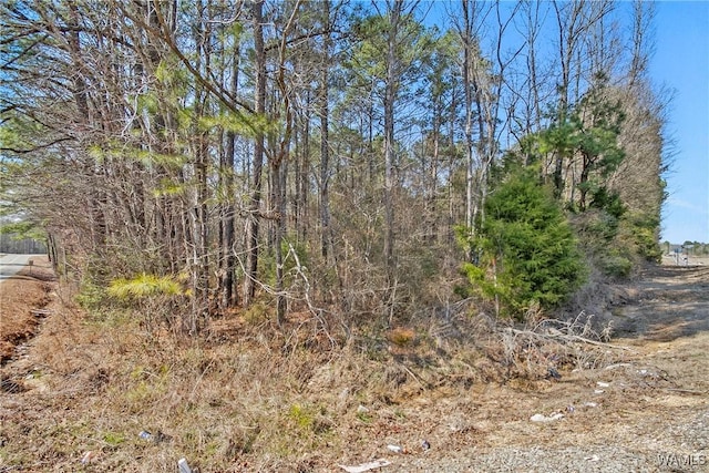 0 Brady Montgomery Rd, Northport, AL 35475 - photo 8