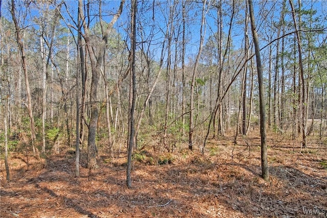 0 Brady Montgomery Rd, Northport, AL 35475 - photo 4