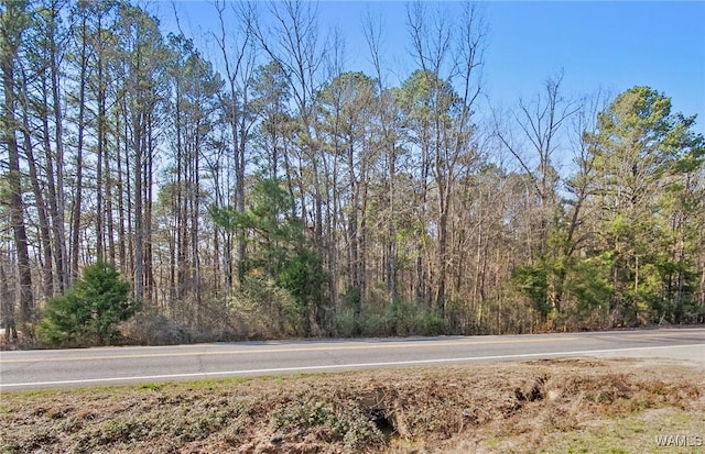 0 Brady Montgomery Rd, Northport, AL 35475 - photo 10