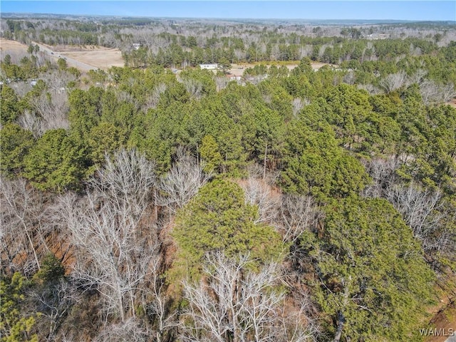 0 Brady Montgomery Rd, Northport, AL 35475 - photo 22
