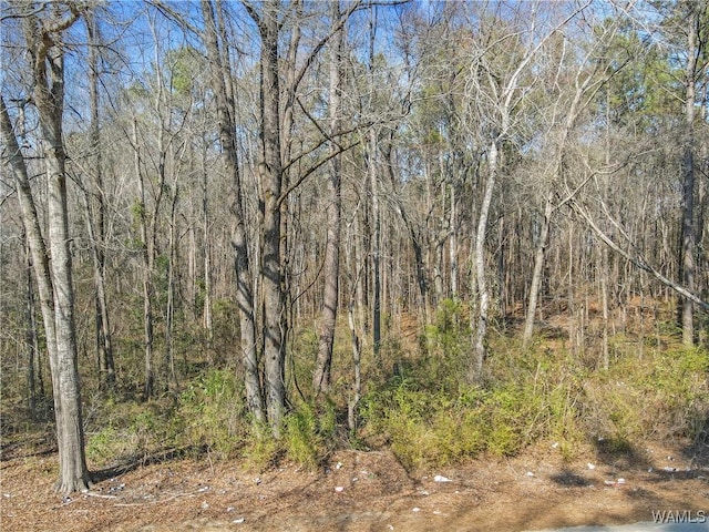 0 Brady Montgomery Rd, Northport, AL 35475 - photo 23