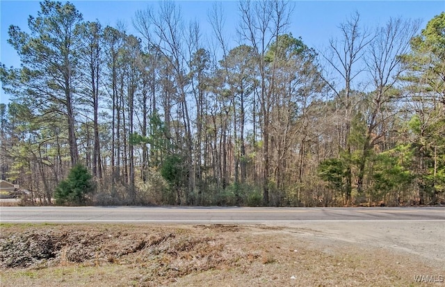 0 Brady Montgomery Rd, Northport, AL 35475 - photo 9