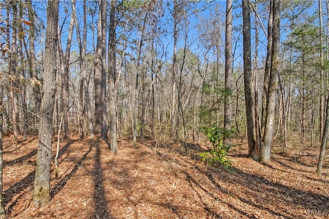 0 Brady Montgomery Rd, Northport, AL 35475 - photo 3