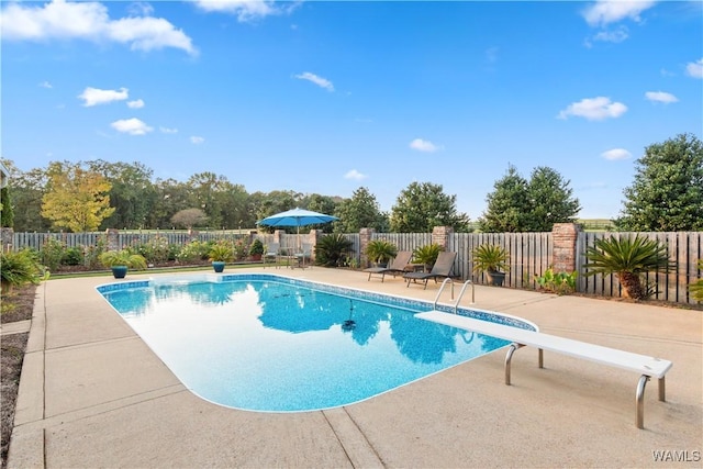 3610 Harbor Ridge Way, Tuscaloosa, AL 35406 - view of swimming pool featuring a patio, a fenced backyard, and a diving board