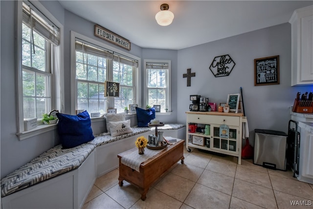 sitting room with light tile patterned floors and a wealth of natural light