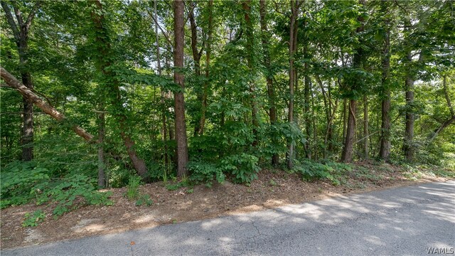 0 Michelle Dr, Lake View, AL 35111
