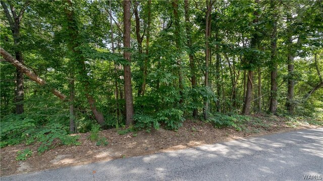 0 Michelle Dr, Lake View, AL 35111