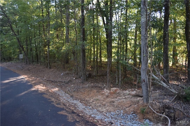 000 Charles Cir, Mccalla AL, 35111 land for sale