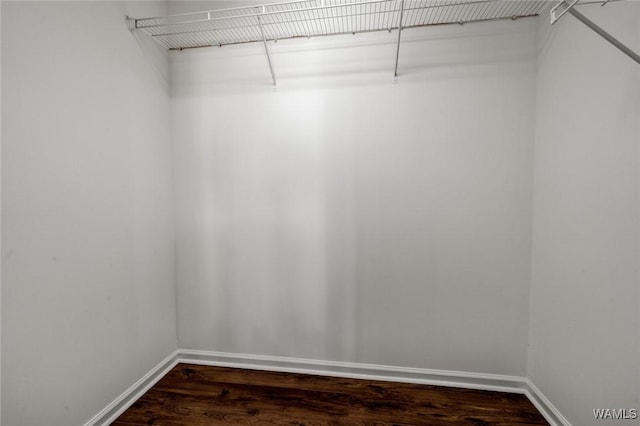 spacious closet with dark wood-type flooring