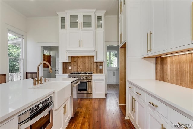 kitchen featuring appliances with stainless steel finishes, dark hardwood / wood-style flooring, premium range hood, crown molding, and white cabinets