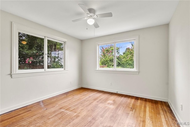 7A Hillcrest, Tuscaloosa, AL 35401 - photo 22