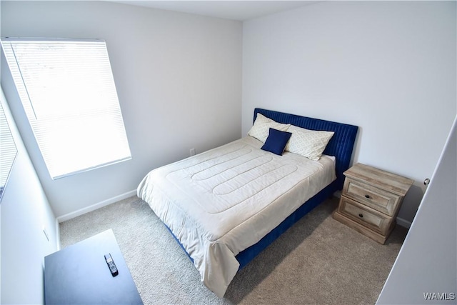 bedroom with carpet and multiple windows